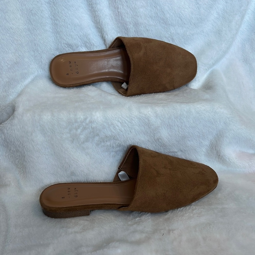 A New Day Mules
